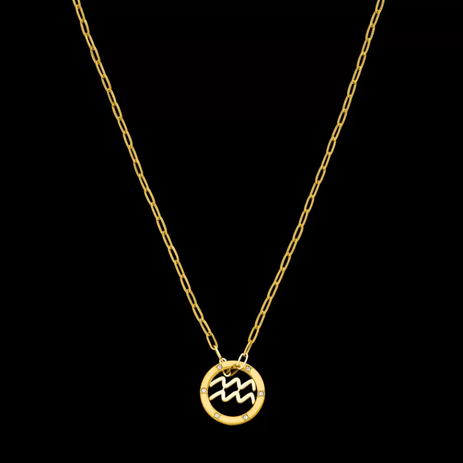 PURELEI Necklaces*Aquarius Zodiac Symbol Necklace