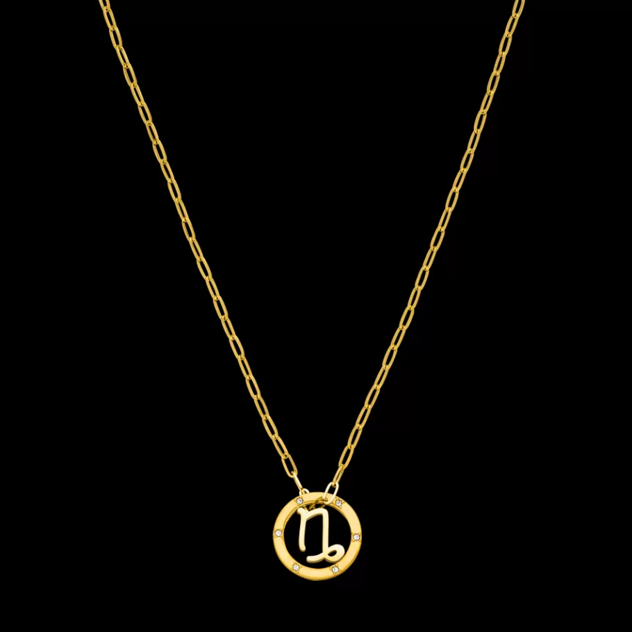 PURELEI Necklaces*Capricorn Zodiac Symbol Necklace