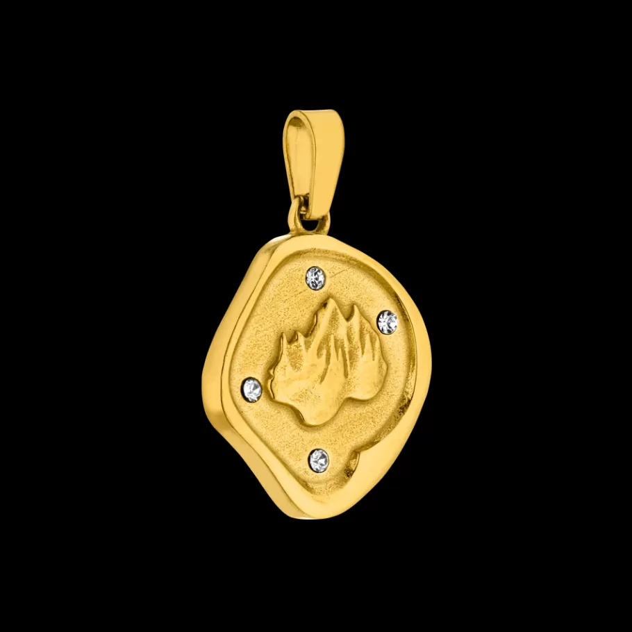 PURELEI Charms*Coin Charm Volcano