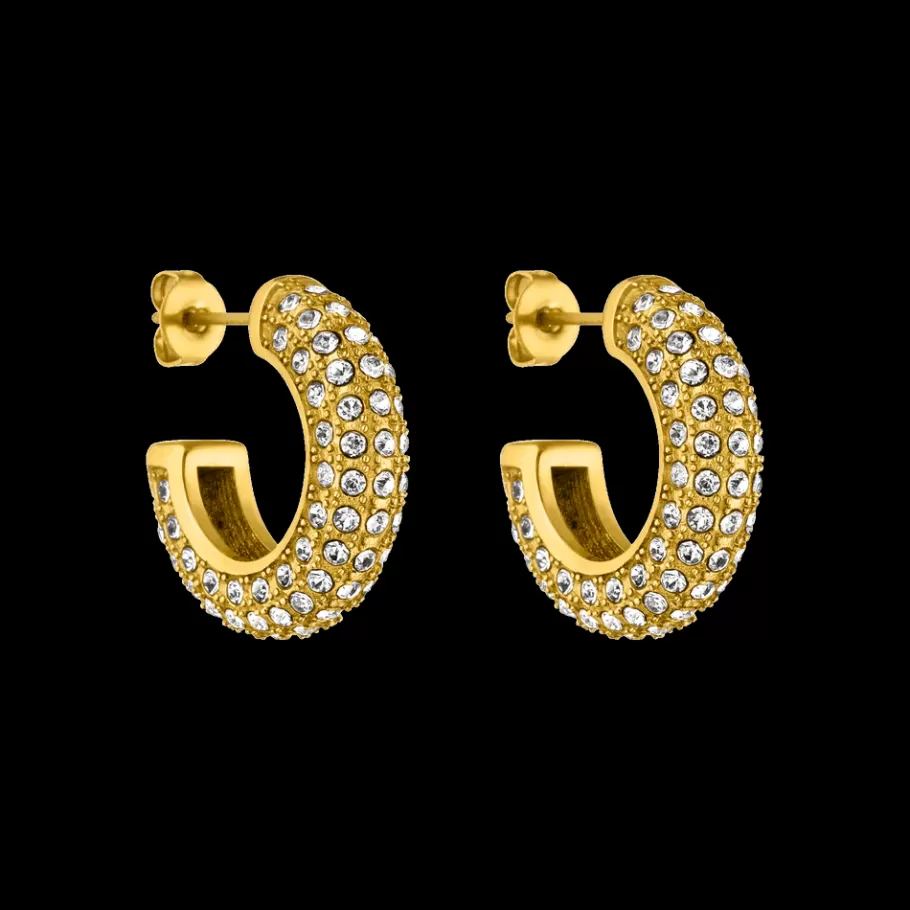 PURELEI Earrings*Earrings Big Glitter