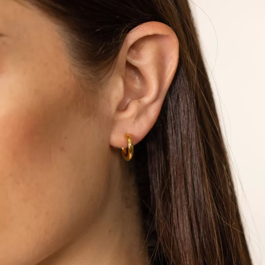 PURELEI Earrings*Earrings Brave