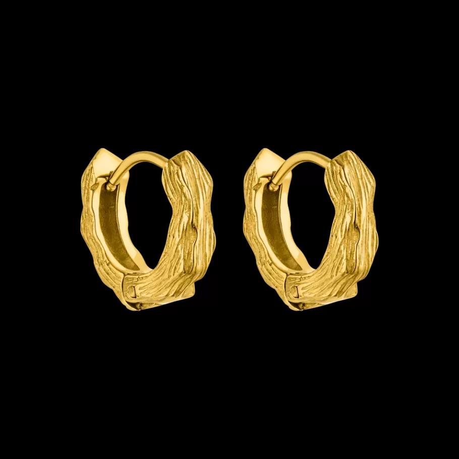 PURELEI Earrings*Earrings Brushed