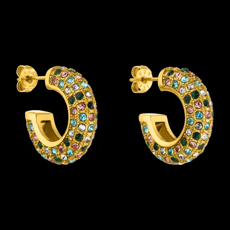 PURELEI Earrings*Earrings Colorful Glitter