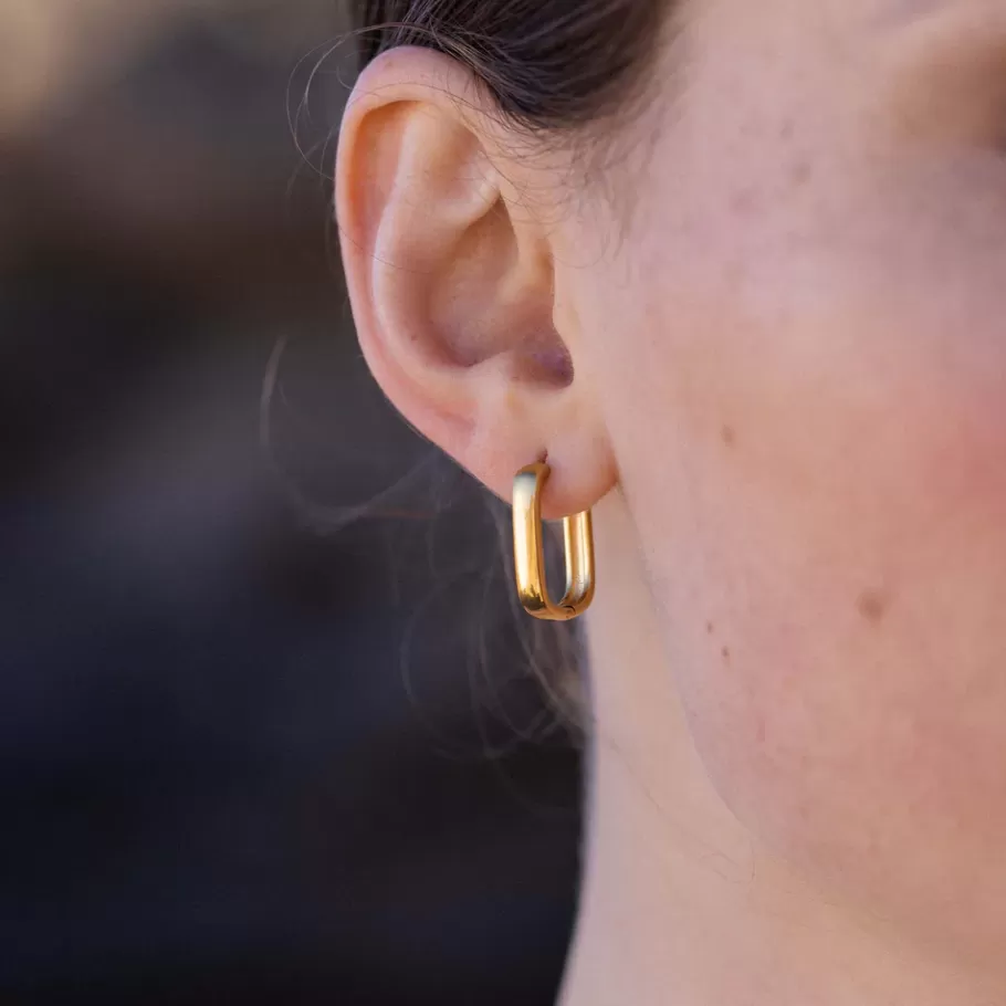 PURELEI Earrings*Earrings Dreamy