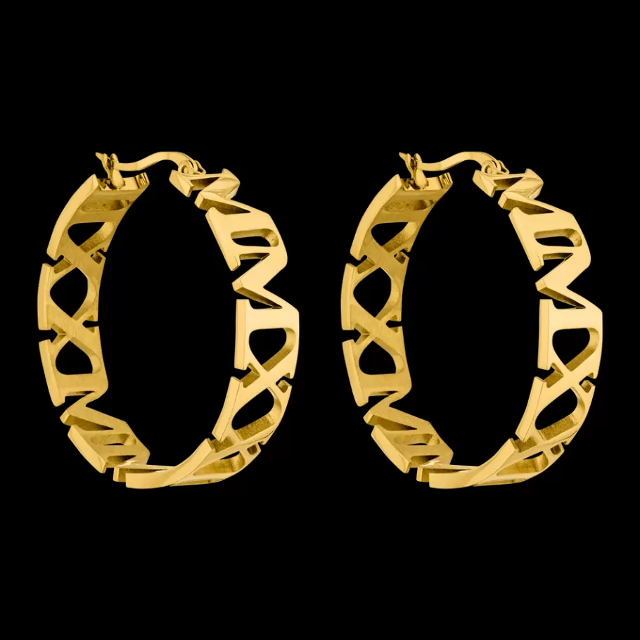 PURELEI Earrings*Earrings Vida