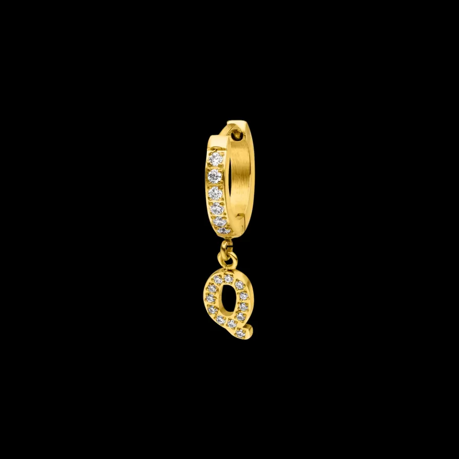 PURELEI Earrings*Hoop Earring Q