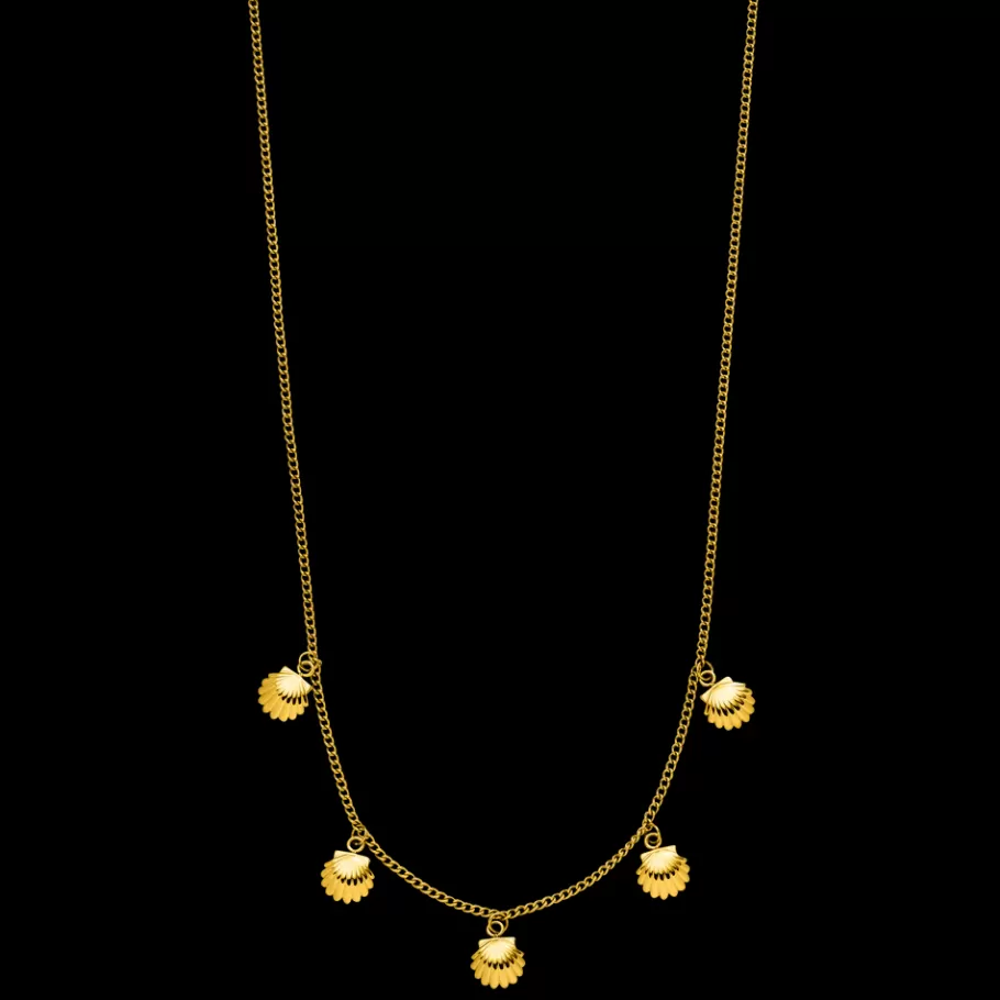 PURELEI Necklaces*Kalea Shell Necklace