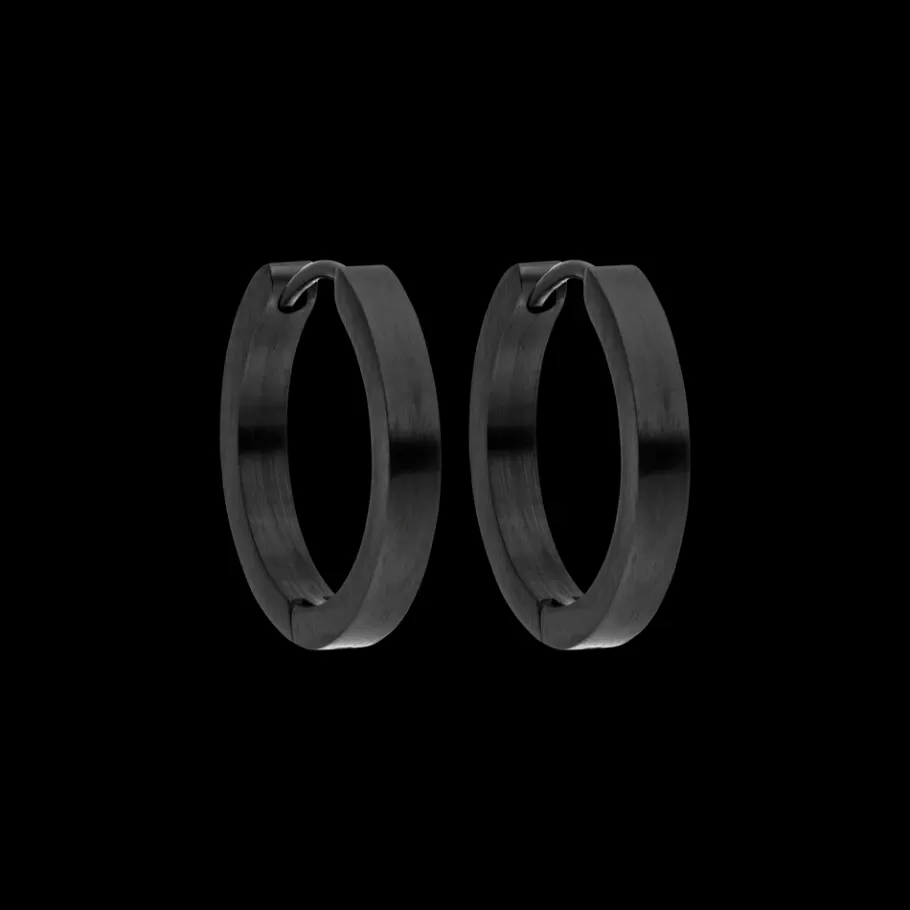 PURELEI Earrings*Night Earrings