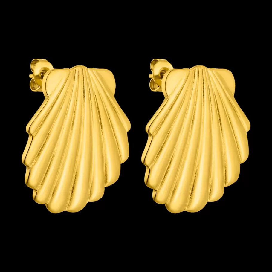 PURELEI Earrings*Shell Earrings