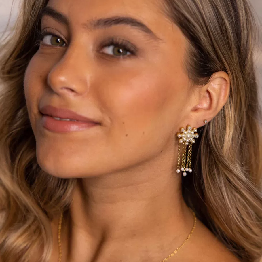 PURELEI Earrings*Snowflake Earrings