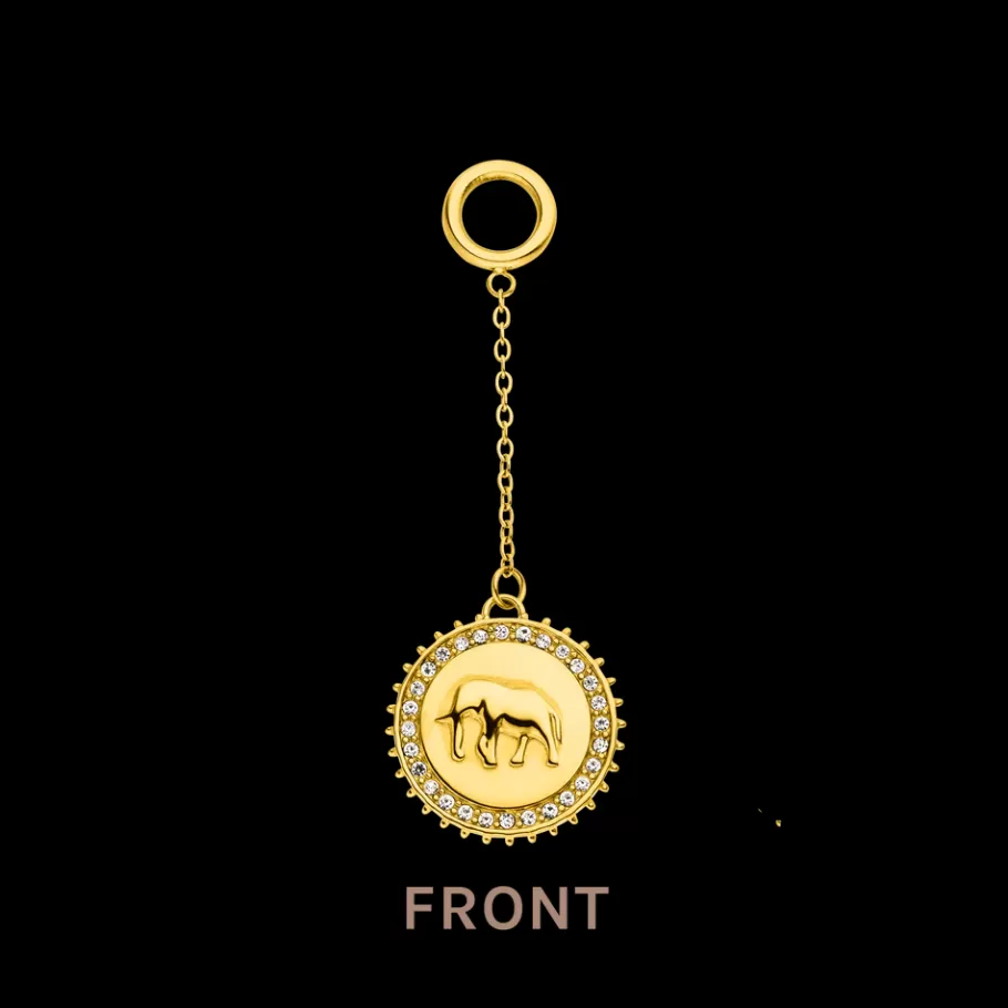 PURELEI Charms*Wisdom Charm